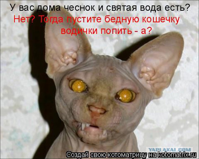 Дерзкие и брутальные