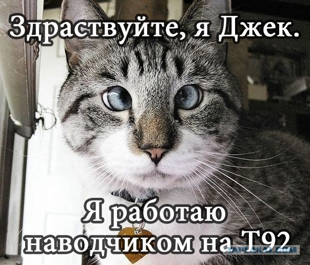 Wargaming 10