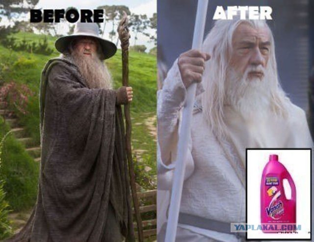 Шантель Винни