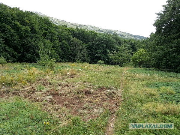 Дорога из Киева и из Москвы в Ялту.