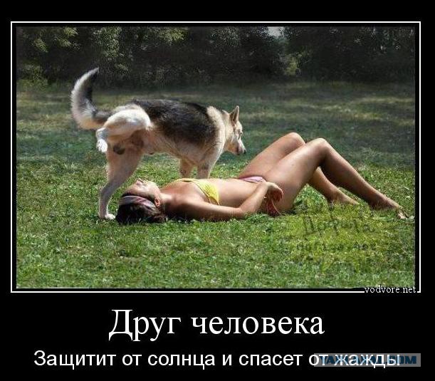 Пошлые демотиваторы 18+, веселые картинки