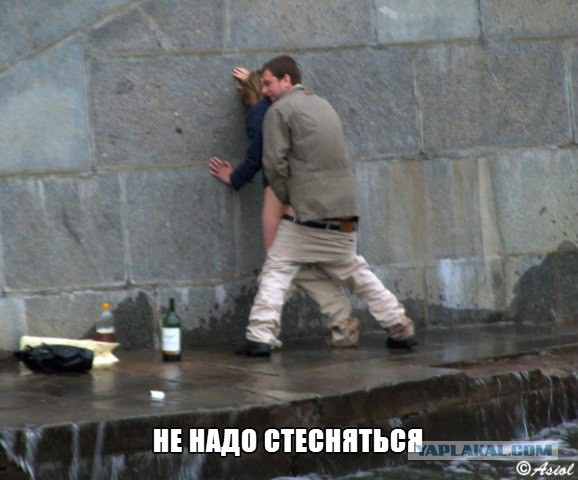 Свежие картинки из сети