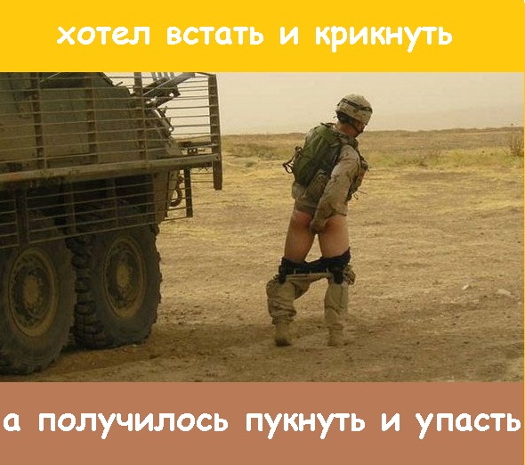 Швеция может применить силу