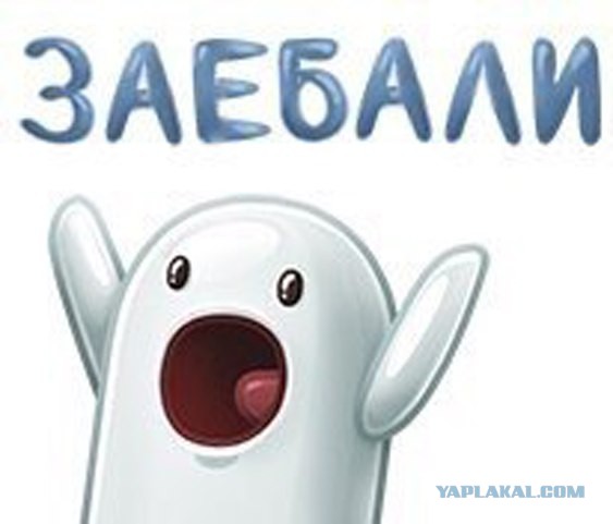 Ответ юзеров сети на появление нового мема Ничоси