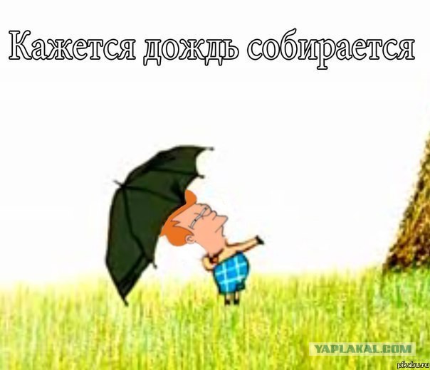 Пописала в оконо