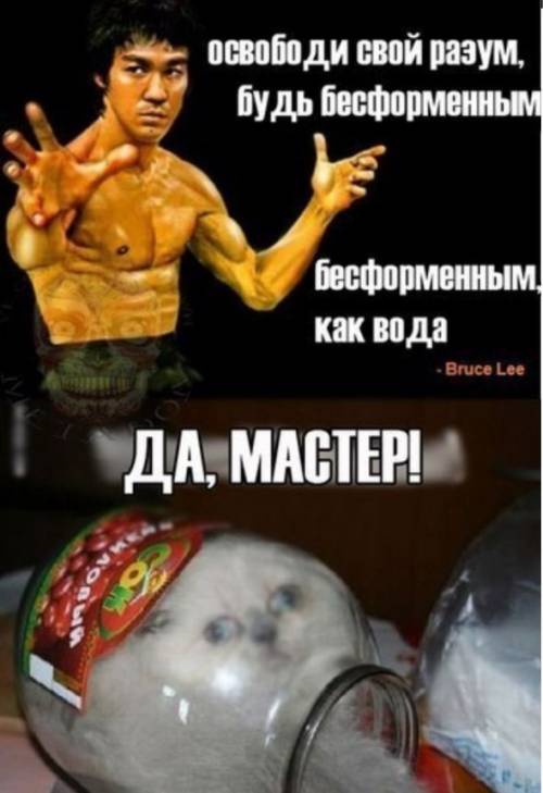 Аквариум для кота