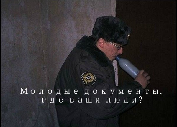 Фотоподборка Зордака №1