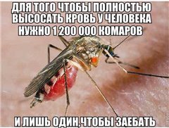 Картинки и демотиваторы