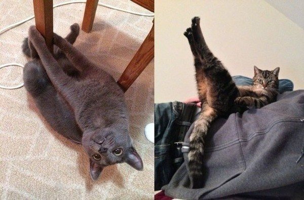 Картинки на пятницу