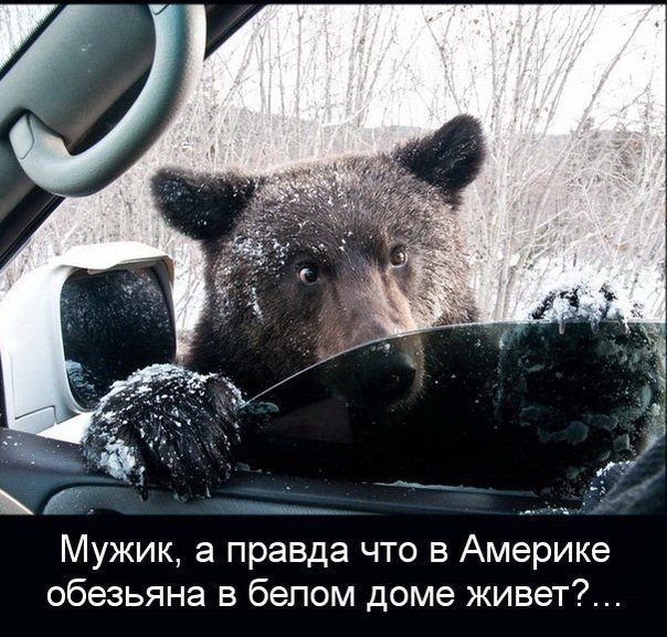 Разные картинки