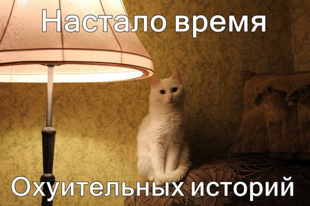 Жизнь или выживание? Сердобольности пост