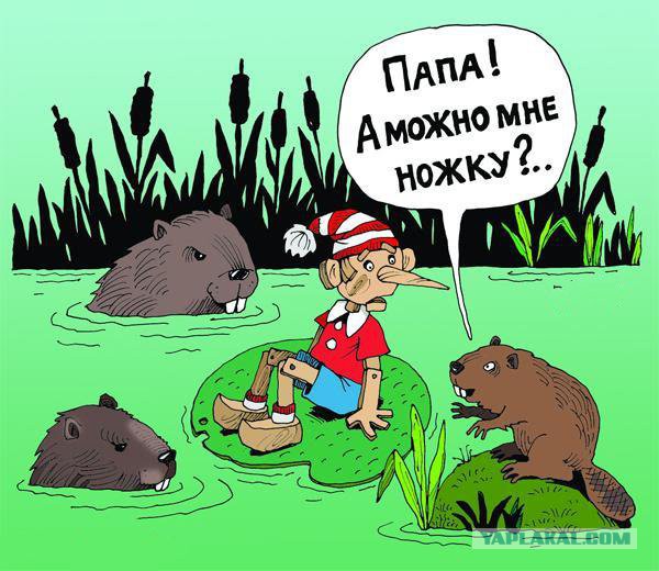 Весёлые картинки