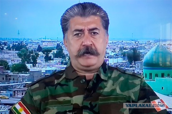 Как две капли: Когда от двойника не отличить