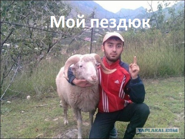 Опять социальные сети