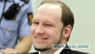 Знакомьтесь