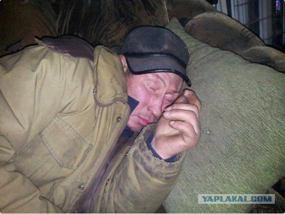 Мария Лондон: кому на Руси жить хорошо? Рамзану