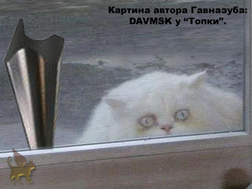 Барсик и Кеша (жесть)