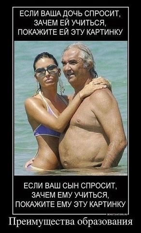Прикольные картинки