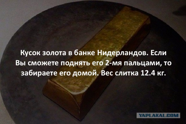 44 интересных факта в картинках. Продолжение