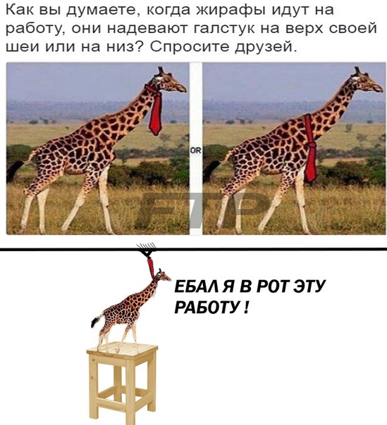 Очень чёрный юмор. Чёрный, как моя душа