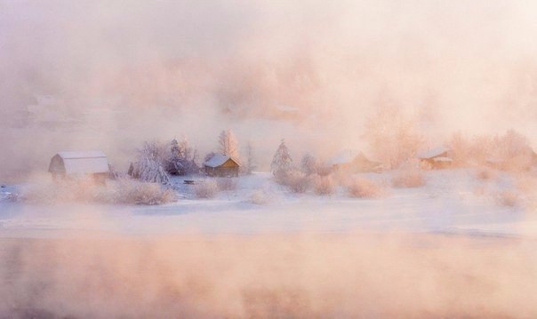 Моменты, запечатлённые на фото и просто позитив 5