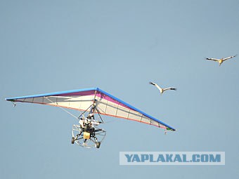 Хроники Лимпопо