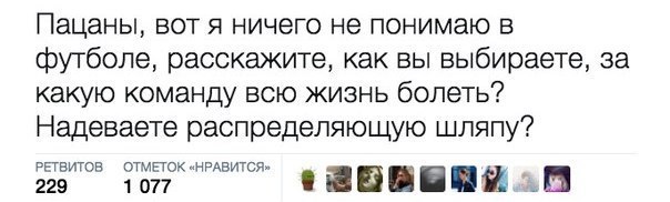 На злобу дня