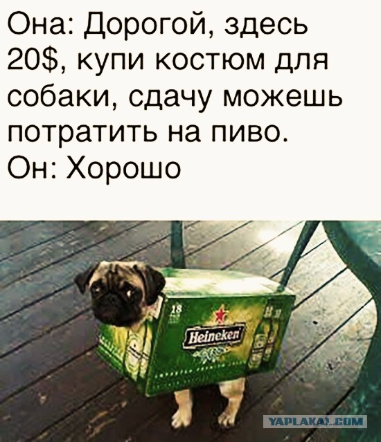 Куда катится жизнь