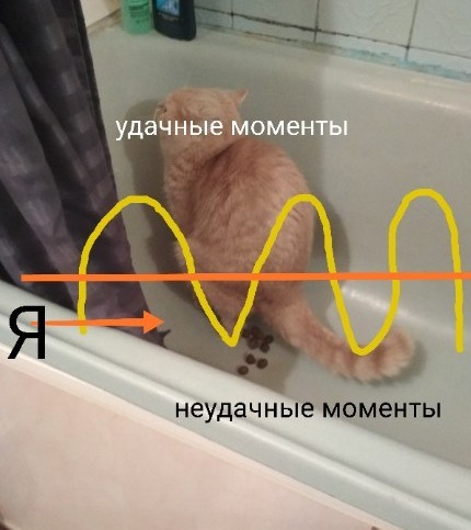 Частота невезения