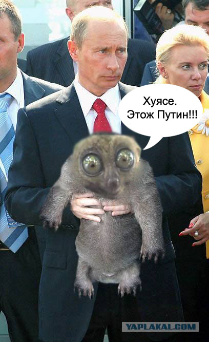 Фотожаба: Путин и зверь