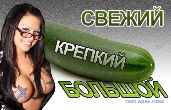 Фотожаба: Я люблю корнишоны