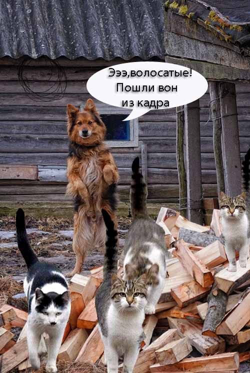 Каникулы в Простоквашино