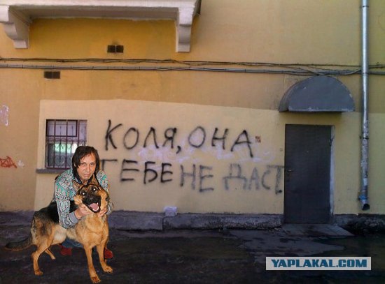 Фотожаба: Коля, она тебе не даст!