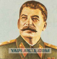 Фанаты резвятся, а людям страшно