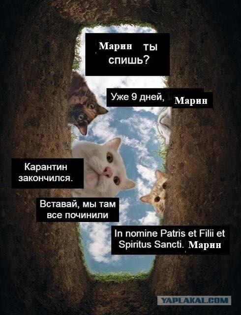 Про Наташу