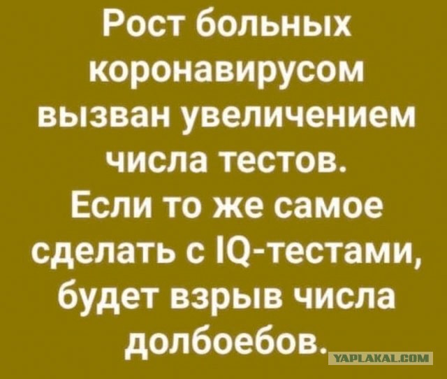 Онлайн. Алые парусы в Питере. Ковид?! Прививки?!