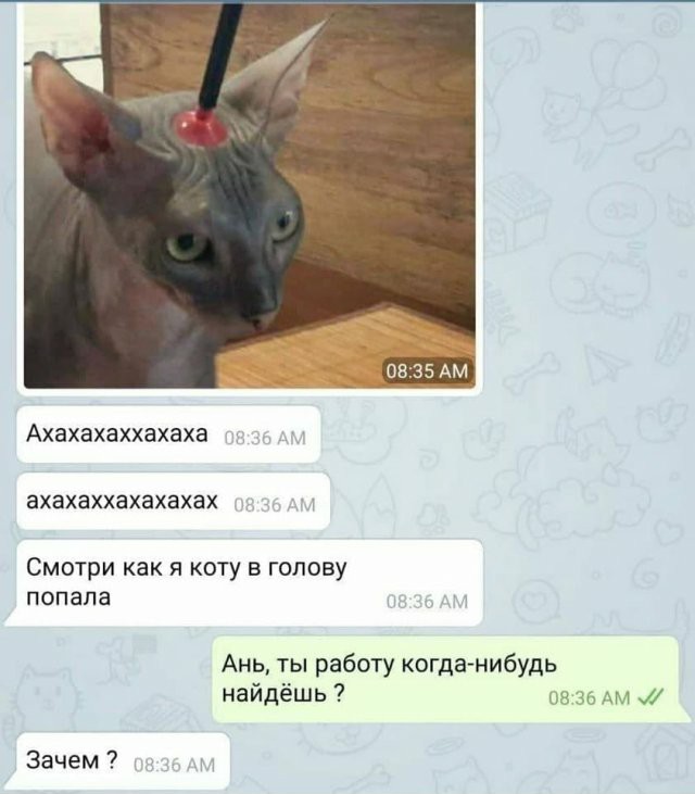 Картинки и мемы для настроения 26.08.2021