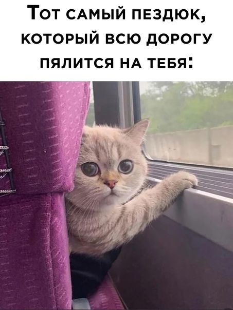 Здесь будет Петербург