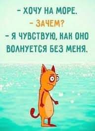 Всяческие картинки 17.11.2021
