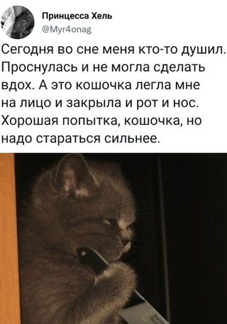 Немного картинок для настроения - 112