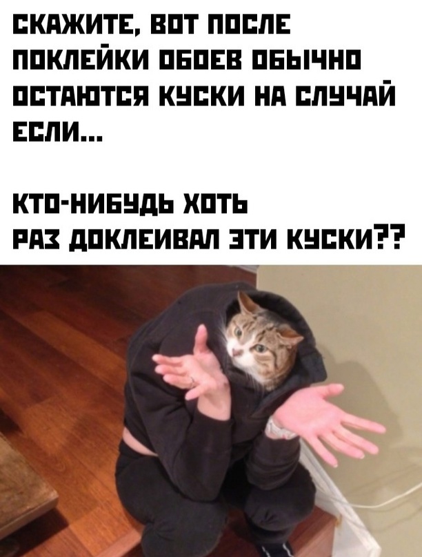 Картинки и мемы для настроения - 125