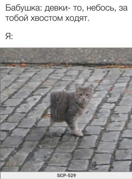 Налетай! Халявные бойаны!