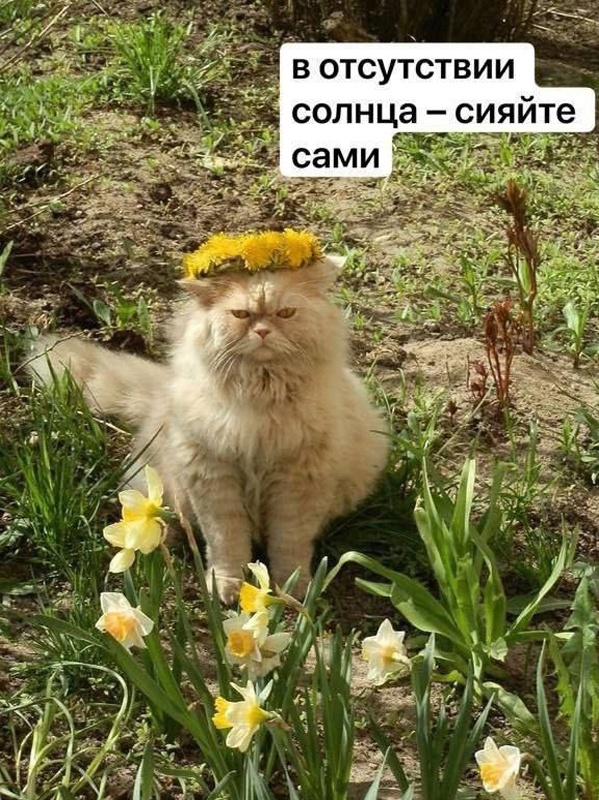 Так себе картинки 08.05.23