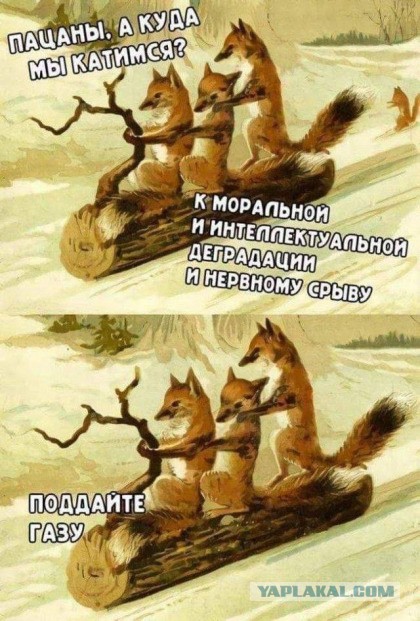 Отряд быстрого деградирования. Номер 20