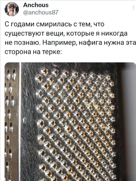 Весёлый полтишок 02.04.24