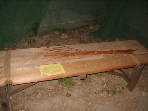 В амурском интернате жестоко избивали детей