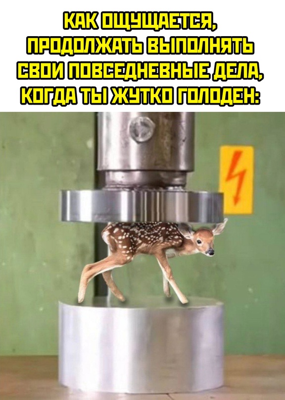 Весёлый полтишок 10.06.24