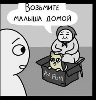 Новый вид мошенничества