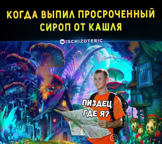 Прикольные и просто красивые картинки 08.11.2024