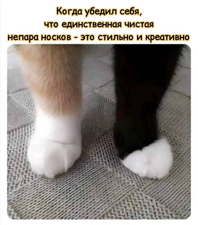 Так себе картинки 24.12.24